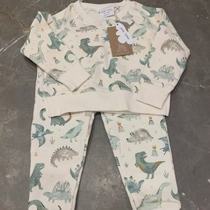 Angel Dear Dino Set, French Terry, Size 18 - 24 months, NEW with tags